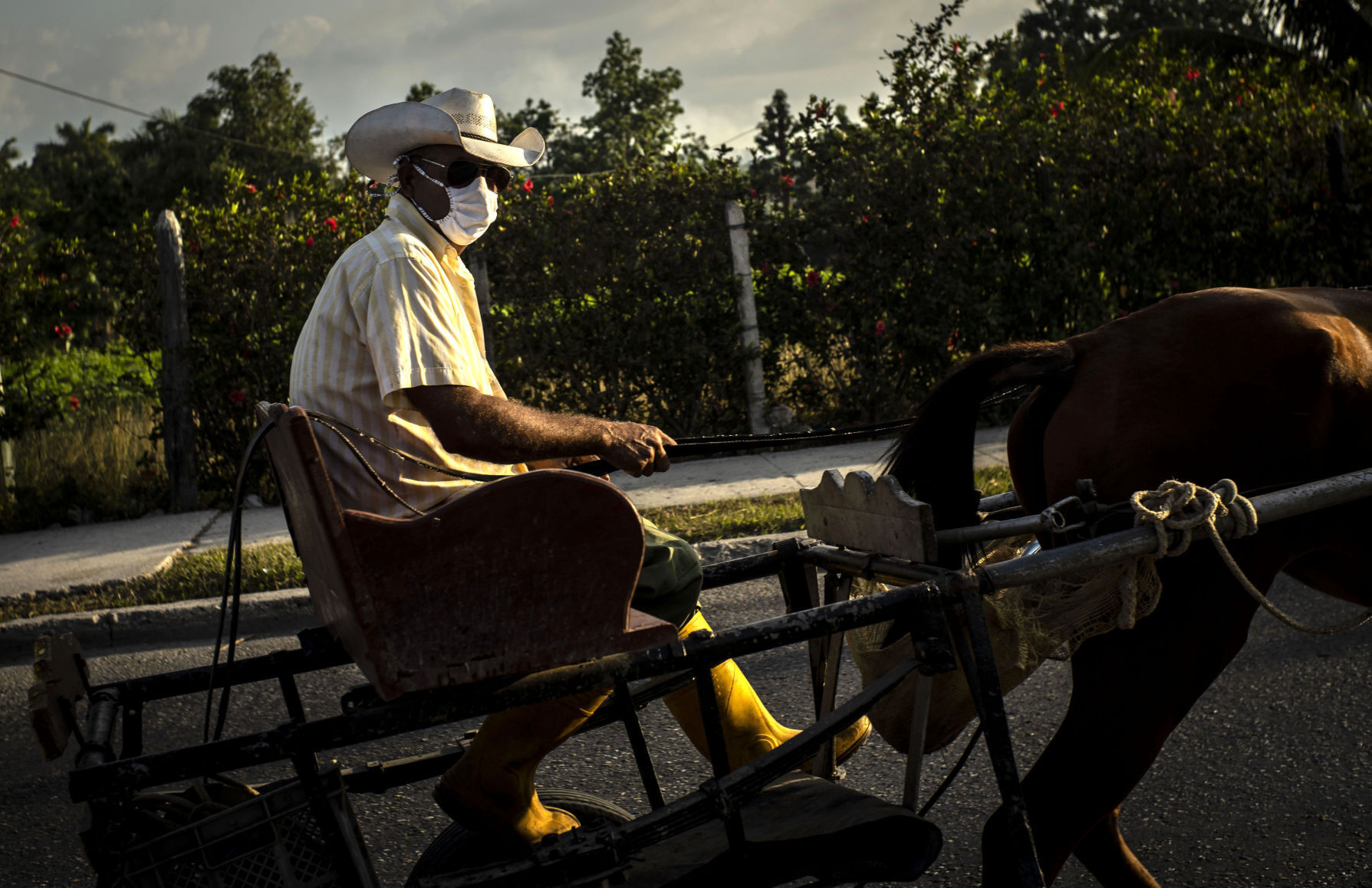 APTOPIX Virus Outbreak Cuba